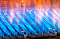 Bleatarn gas fired boilers
